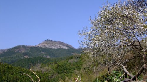 桜山 (群馬県)の絶景写真