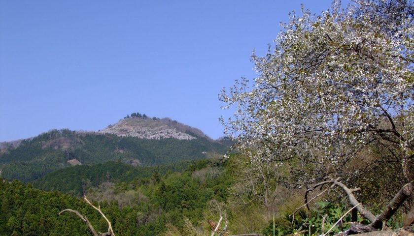 群馬県の絶景スポット「桜山 (群馬県)」