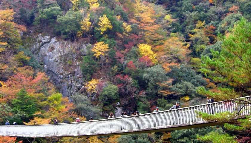 熊本県の絶景スポット「五家荘 梅の木轟公園吊橋」