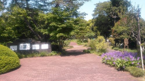 横浜市こども植物園の絶景写真