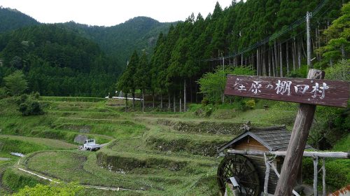 樫原の棚田の絶景写真