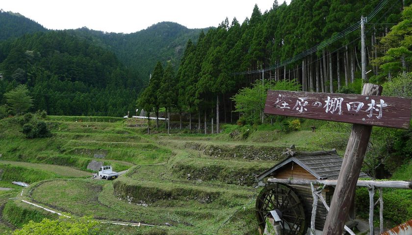 徳島県の絶景スポット「樫原の棚田」
