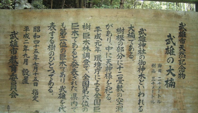 佐賀県の絶景スポット「武雄の大楠」