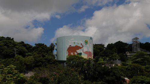 沖縄こどもの国の絶景写真
