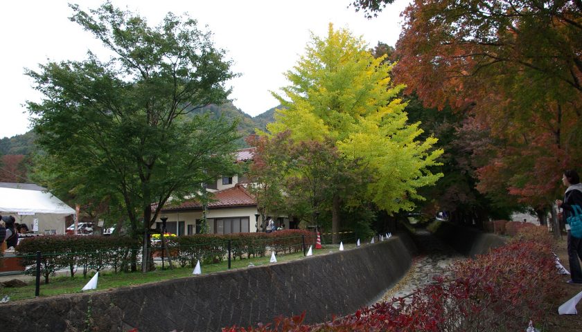 山梨県の絶景スポット「河口湖もみじ回廊」