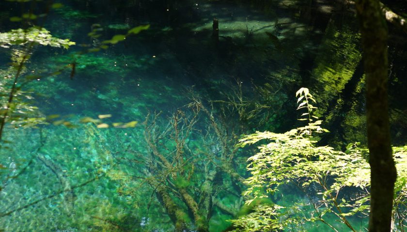 青森県の絶景スポット「沸壺の池」