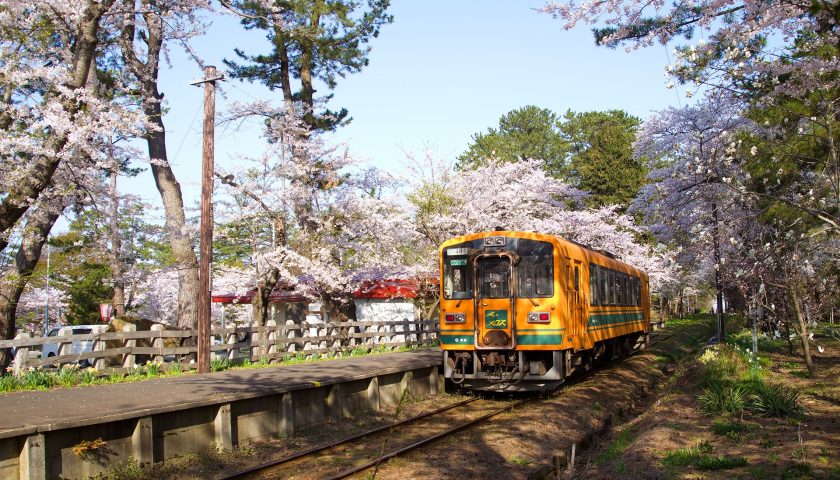 青森県の絶景スポット「芦野公園の桜のトンネル」