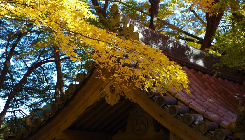 大阪府の絶景スポット「牛滝山 大威徳寺」