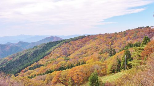 田束山の絶景写真