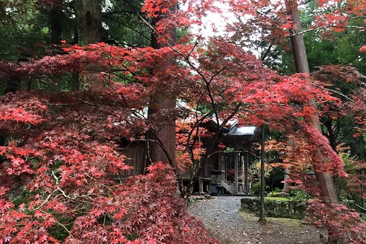 兵庫県の絶景スポット「白毫寺」