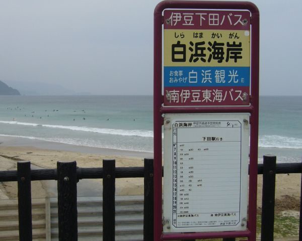 高知県の絶景スポット「白浜海岸」