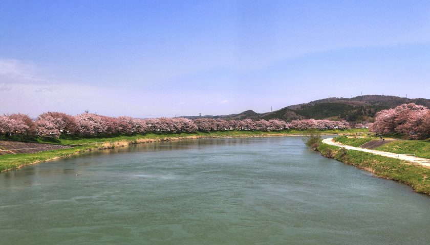 宮城県の絶景スポット「一目千本桜」