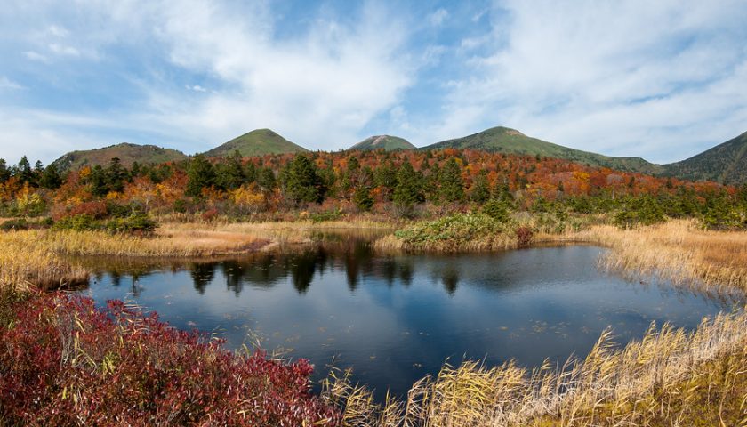 青森県の絶景スポット「睡蓮沼」