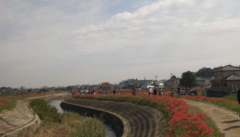 愛知県の絶景スポット「矢勝川堤」