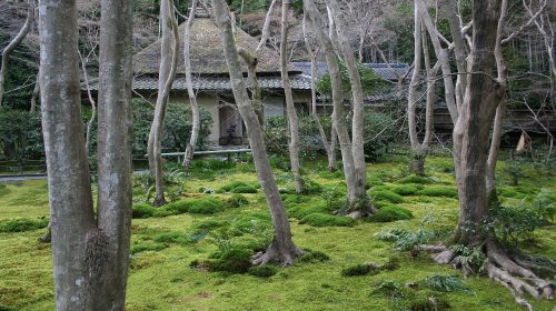 祇王寺の絶景写真