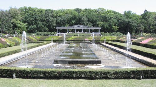 神代植物公園の絶景写真
