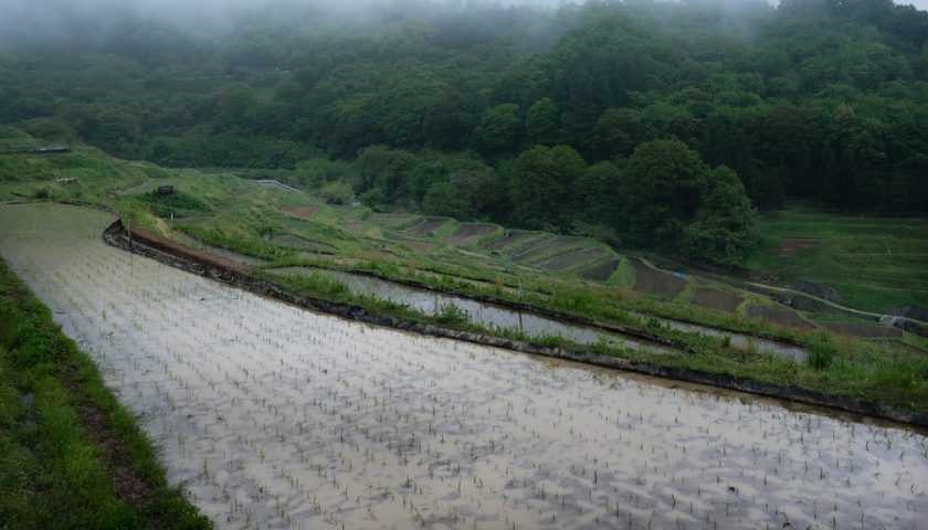 長野県の絶景スポット「稲倉の棚田」
