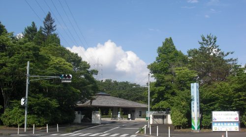 筑波実験植物園の絶景写真
