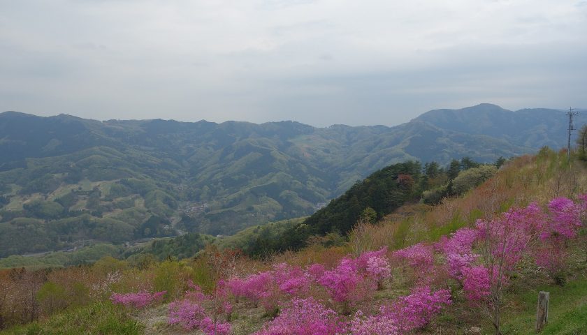 埼玉県の絶景スポット「美の山公園」