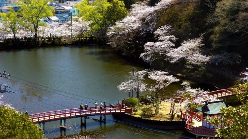 茂原公園の絶景写真
