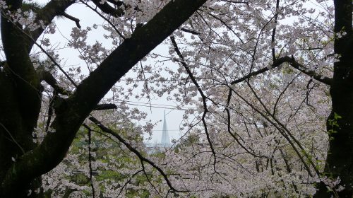 西公園の絶景写真