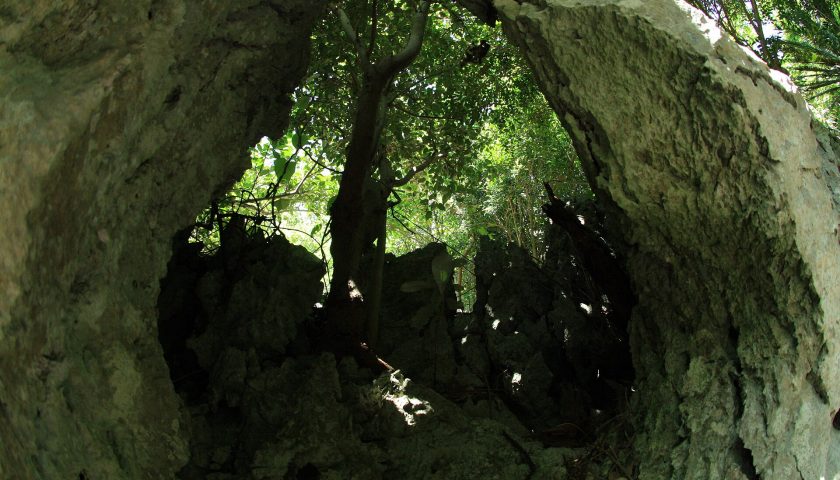 沖縄県の絶景スポット「大石林山」