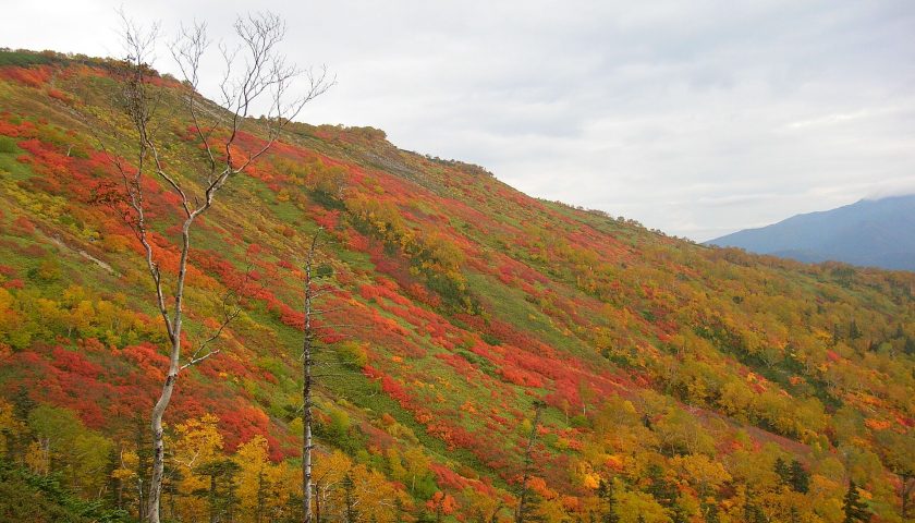 北海道の絶景スポット「銀泉台」