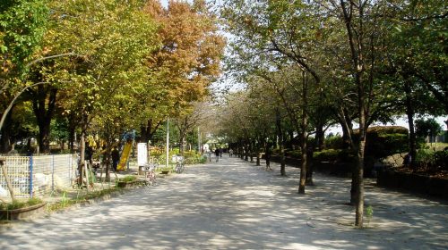 隅田公園の絶景写真