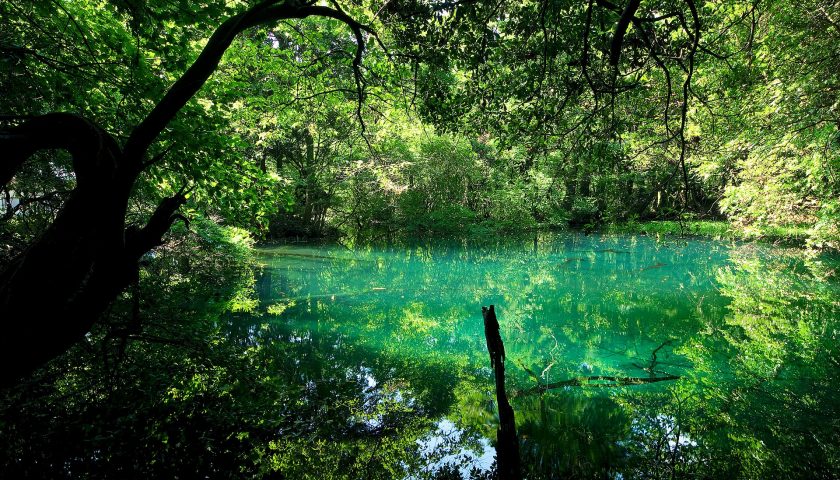 山形県の絶景スポット「丸池様」