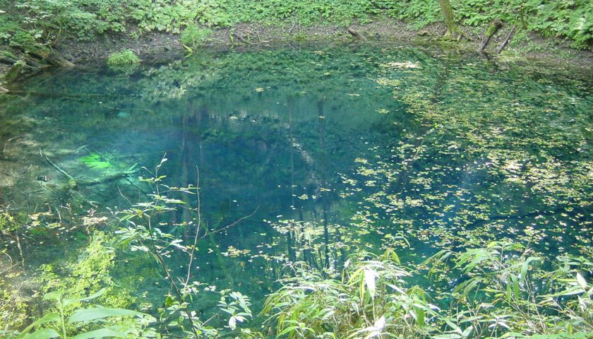 青森県の絶景スポット「青池」