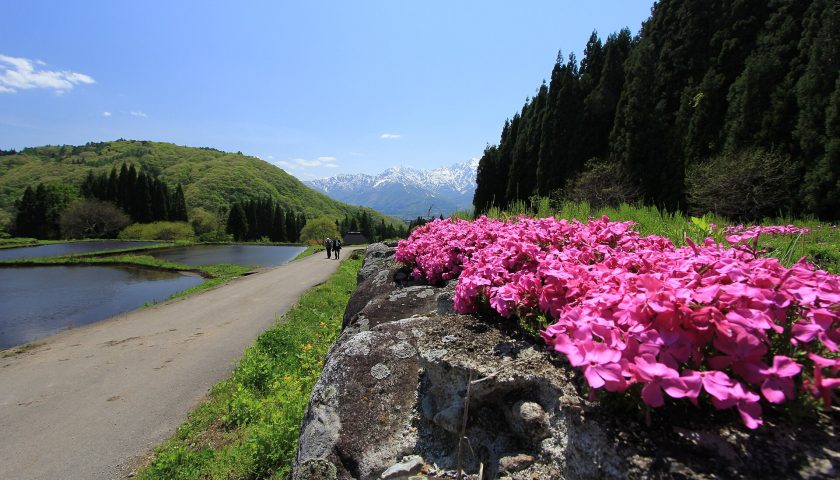 長野県の絶景スポット「青鬼の棚田」