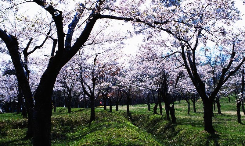 青森県の絶景スポット「館城」