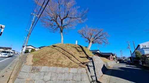 騎西城の絶景写真