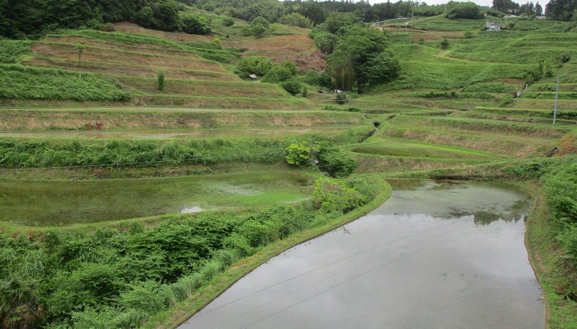 高知県の絶景スポット「高須の棚田」