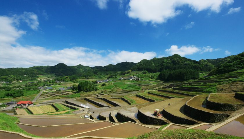 長崎県の絶景スポット「鬼木棚田」