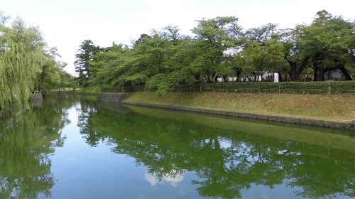 鶴岡公園の絶景写真