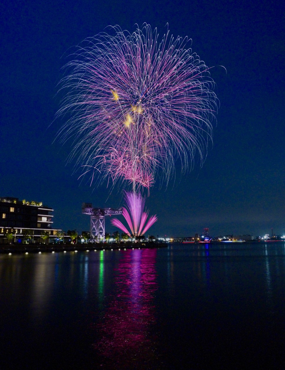横浜ナイトフラワーズ2026（7/7 新港ふ頭） の花火写真